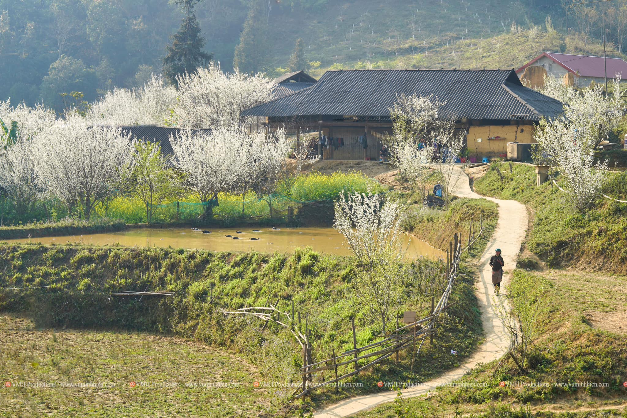 mua bán đất mộc châu