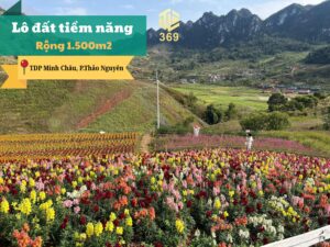 bất động sản mộc châu