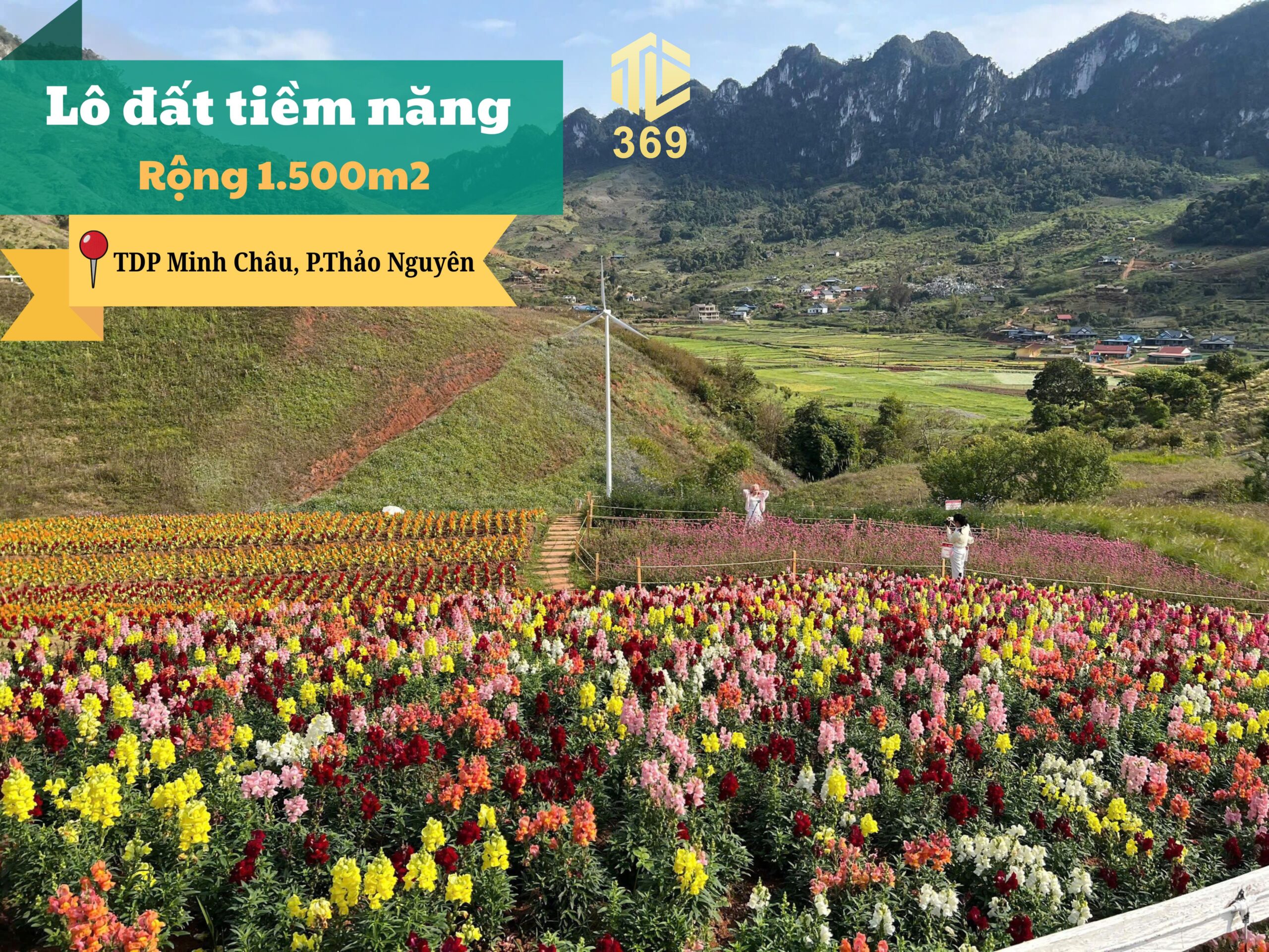 bất động sản mộc châu