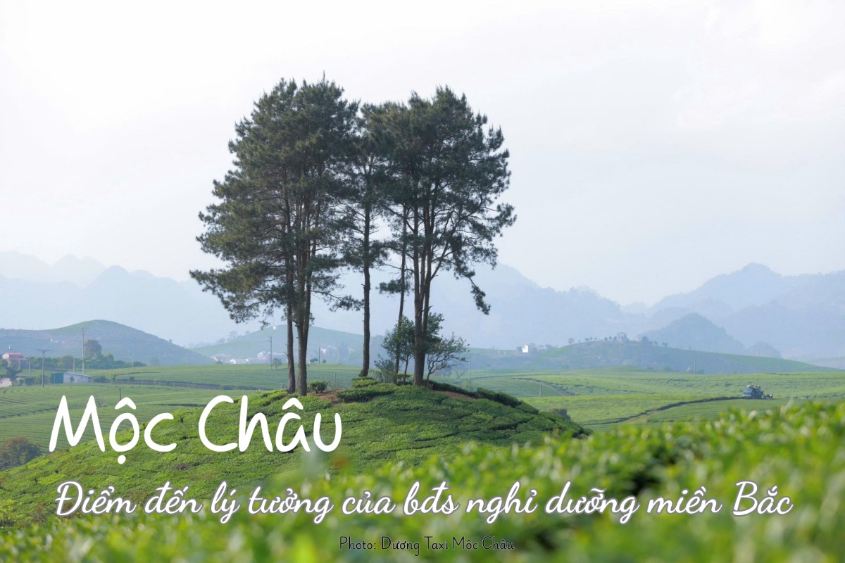 mua bán nhà đất mộc châu