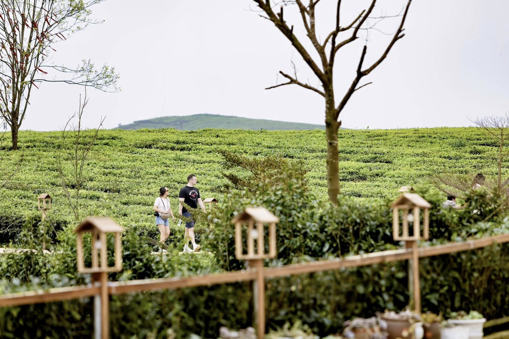 bất động sản mộc châu